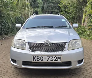 Toyota Corolla Fielder 2005 Silver