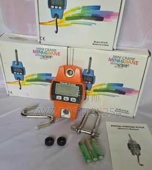300kgs Digital Hanging Scale