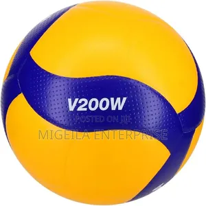Volleyball Ball