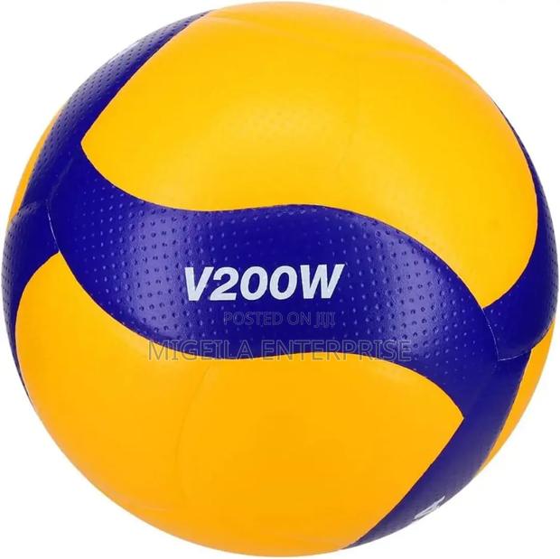 Volleyball Ball