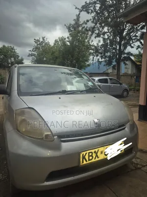 Toyota Passo 2009 Gray