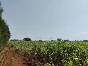 3 Acres for Sale in Chepkanga Eldoret