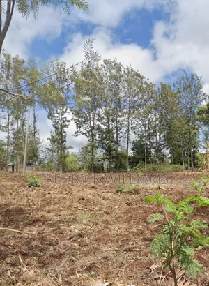 1⁄4 Acre for Sale Near Gathoge 1 Km Off Nairobi-Embu Highway