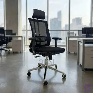 Office Chair; Orthopedic Mesh Office Chair With Lumbar Support