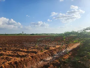 10,000-Acre Prime Land for Sale: Tana River Frontage | Ready Title