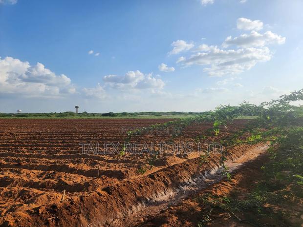 10,000-Acre Prime Land for Sale: Tana River Frontage | Ready Title