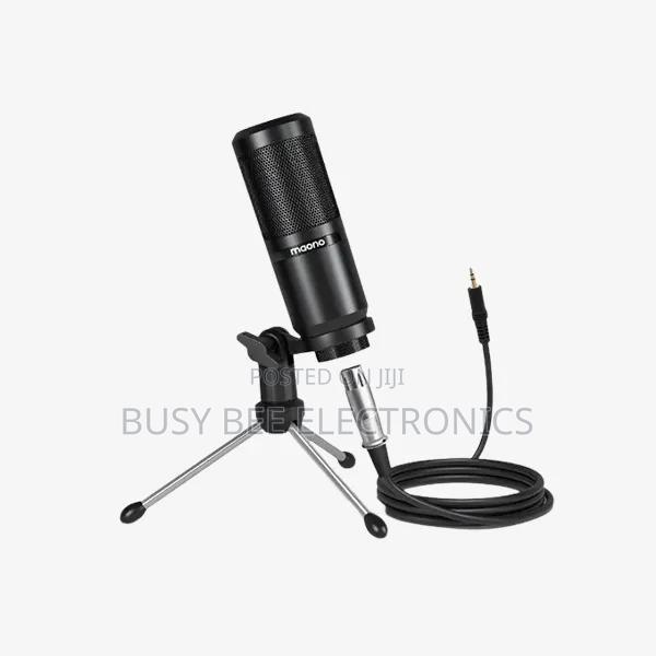 Wireless Microphone — Plug‐And‐Play Dual Lavalier System