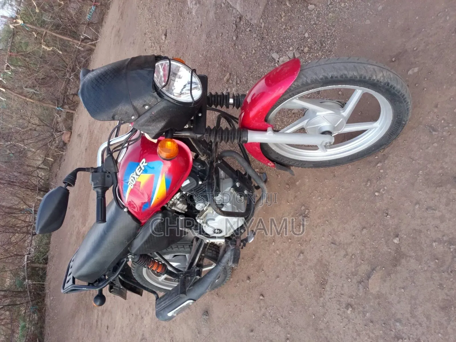 Bajaj Boxer 125 2024 Red