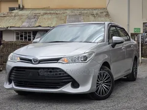 Toyota Axio 2017 Silver