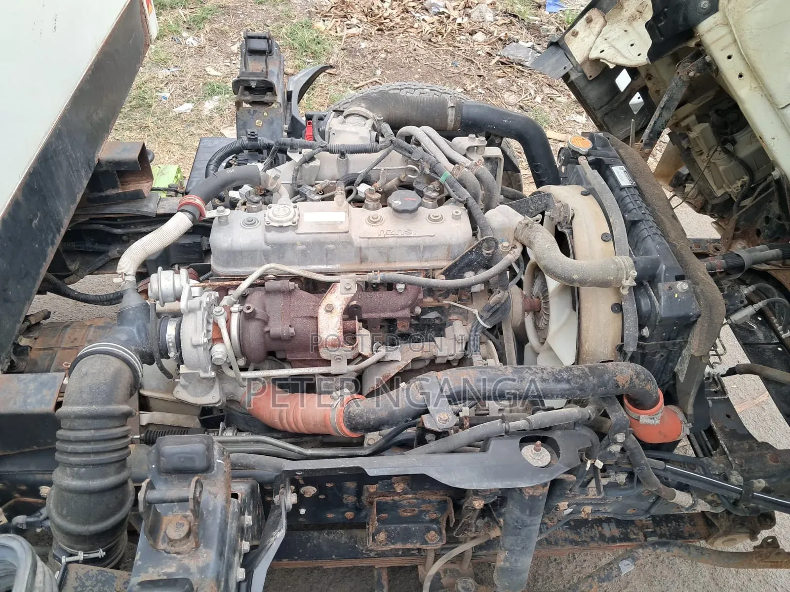 Isuzu NLR 2023 Model