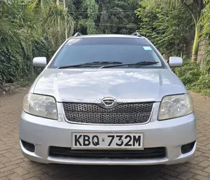 Toyota Corolla Fielder 2005 Silver