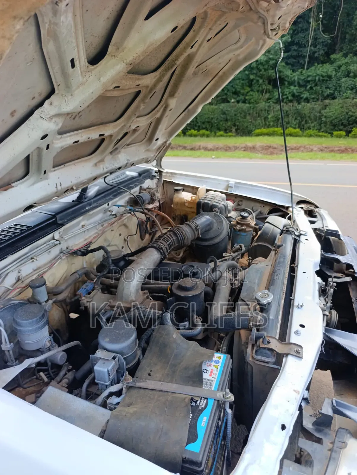 Nissan Hardbody 2008 White