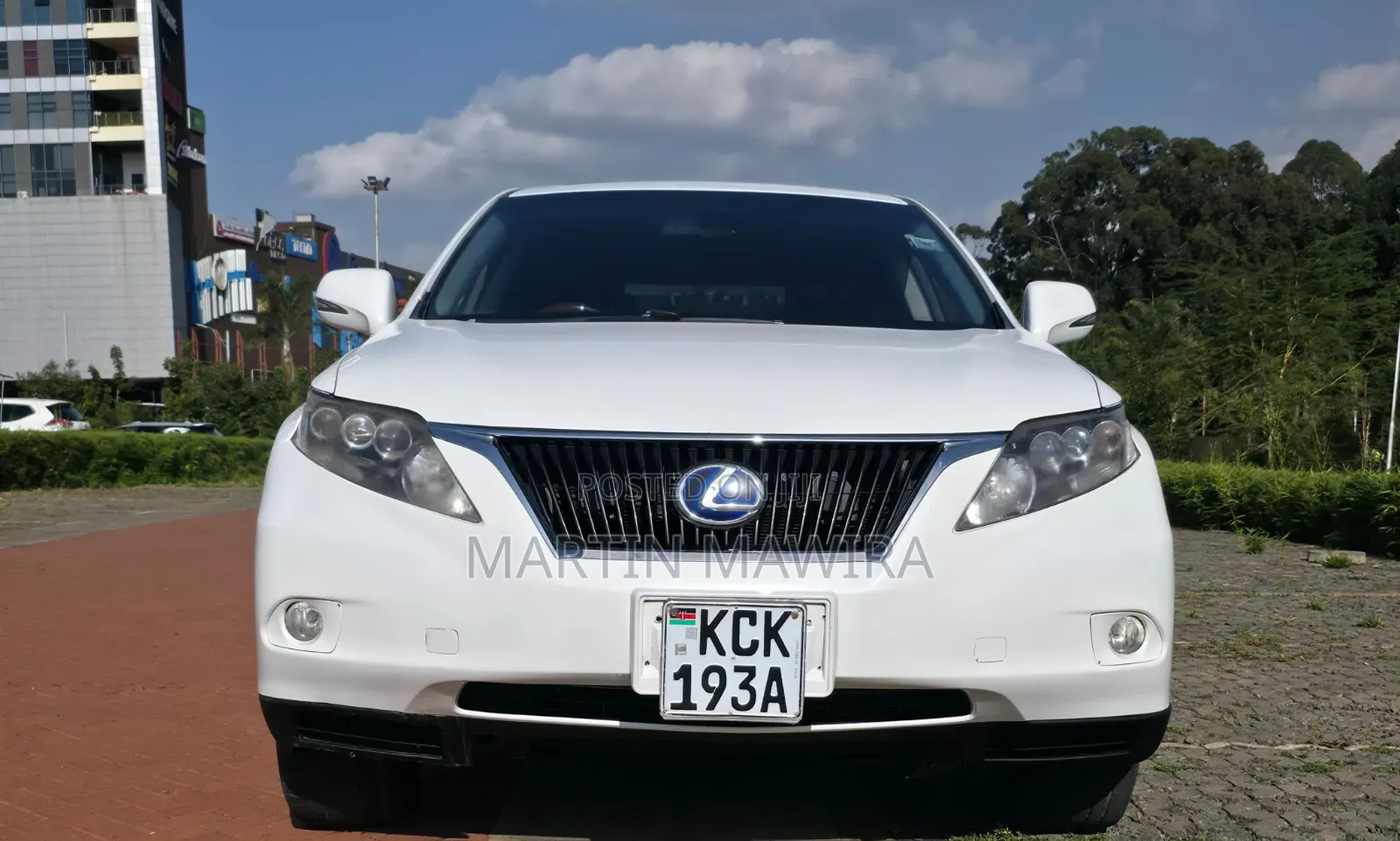 Lexus RX 2010 White