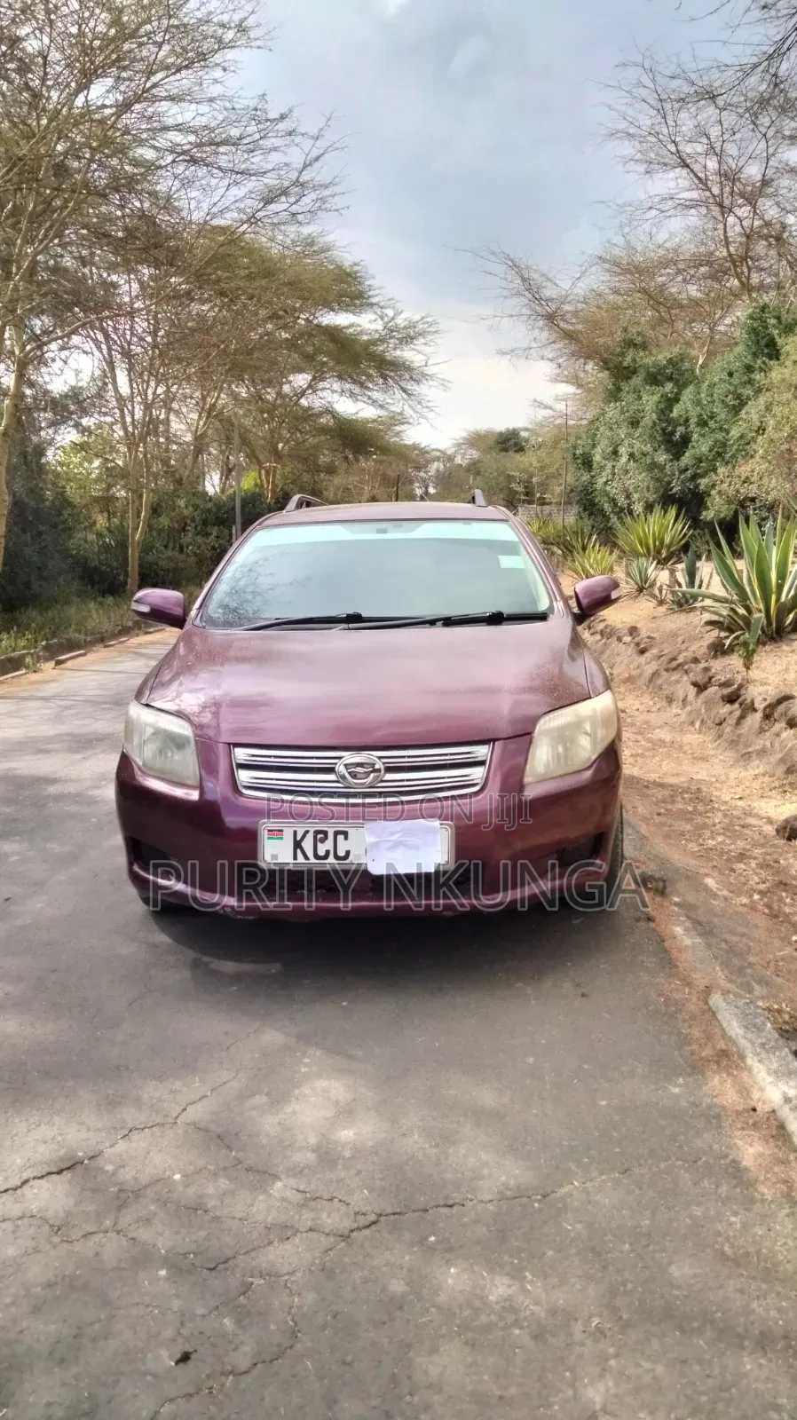 Toyota Corolla Fielder 2008 Maroon