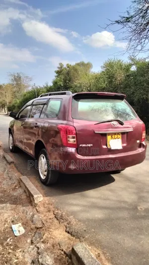 Toyota Corolla Fielder 2008 Maroon