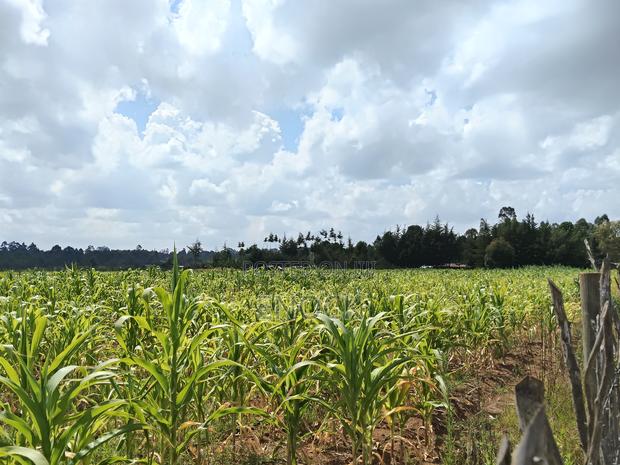 1.5acres for Sale in Mugundoi Cheptiret