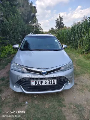 Toyota Corolla Fielder 2019 Silver
