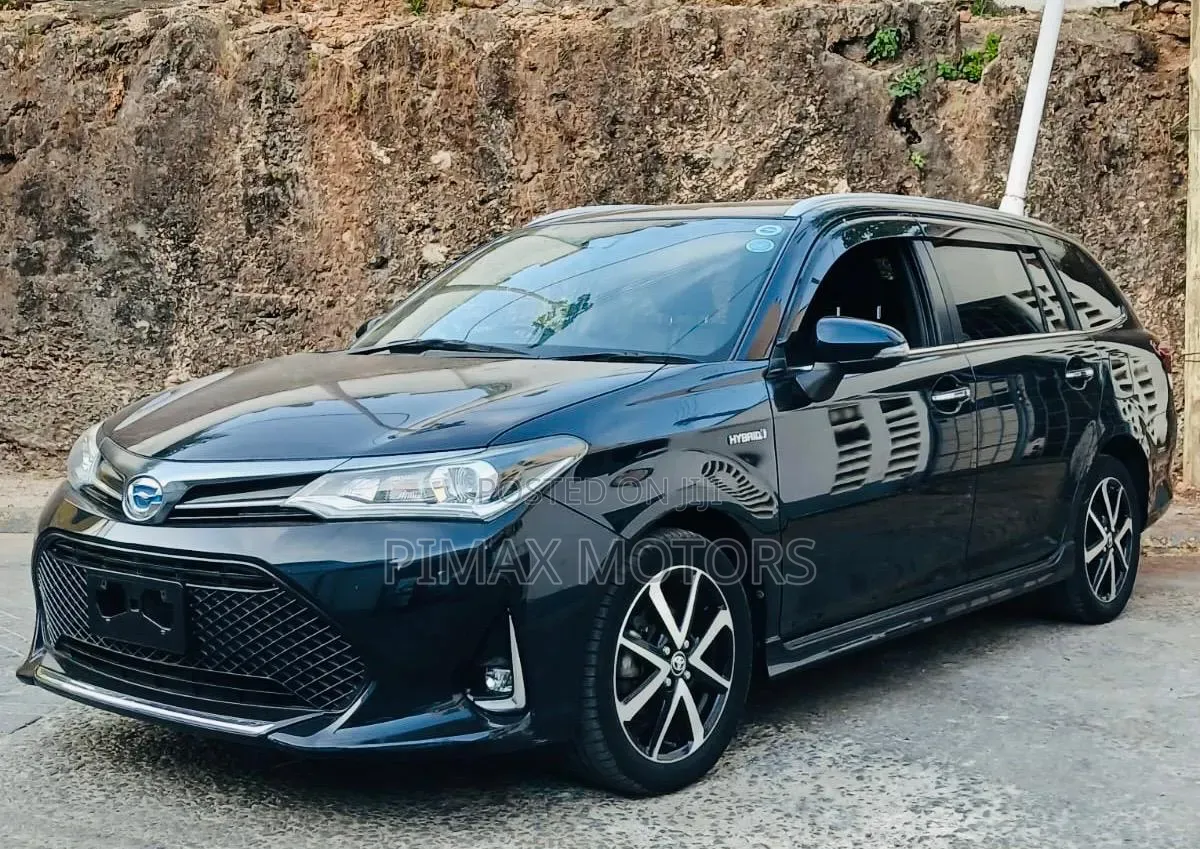 Toyota Corolla Fielder 2018 Black