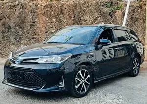 Toyota Corolla Fielder 2018 Black
