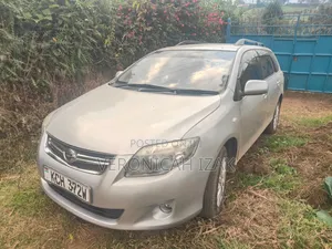 Toyota Corolla Fielder 2010 Silver