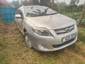 Toyota Corolla Fielder 2010 Silver