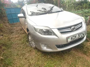 Toyota Corolla Fielder 2010 Silver