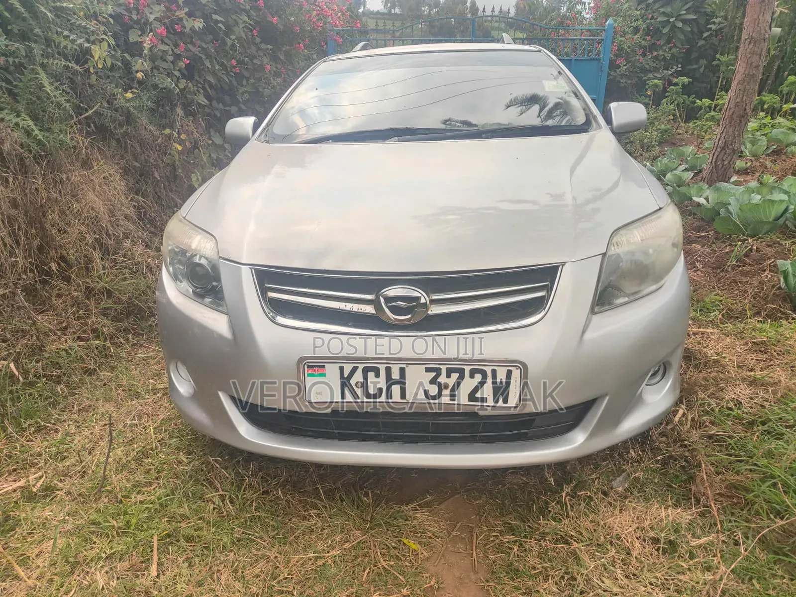 Toyota Corolla Fielder 2010 Silver