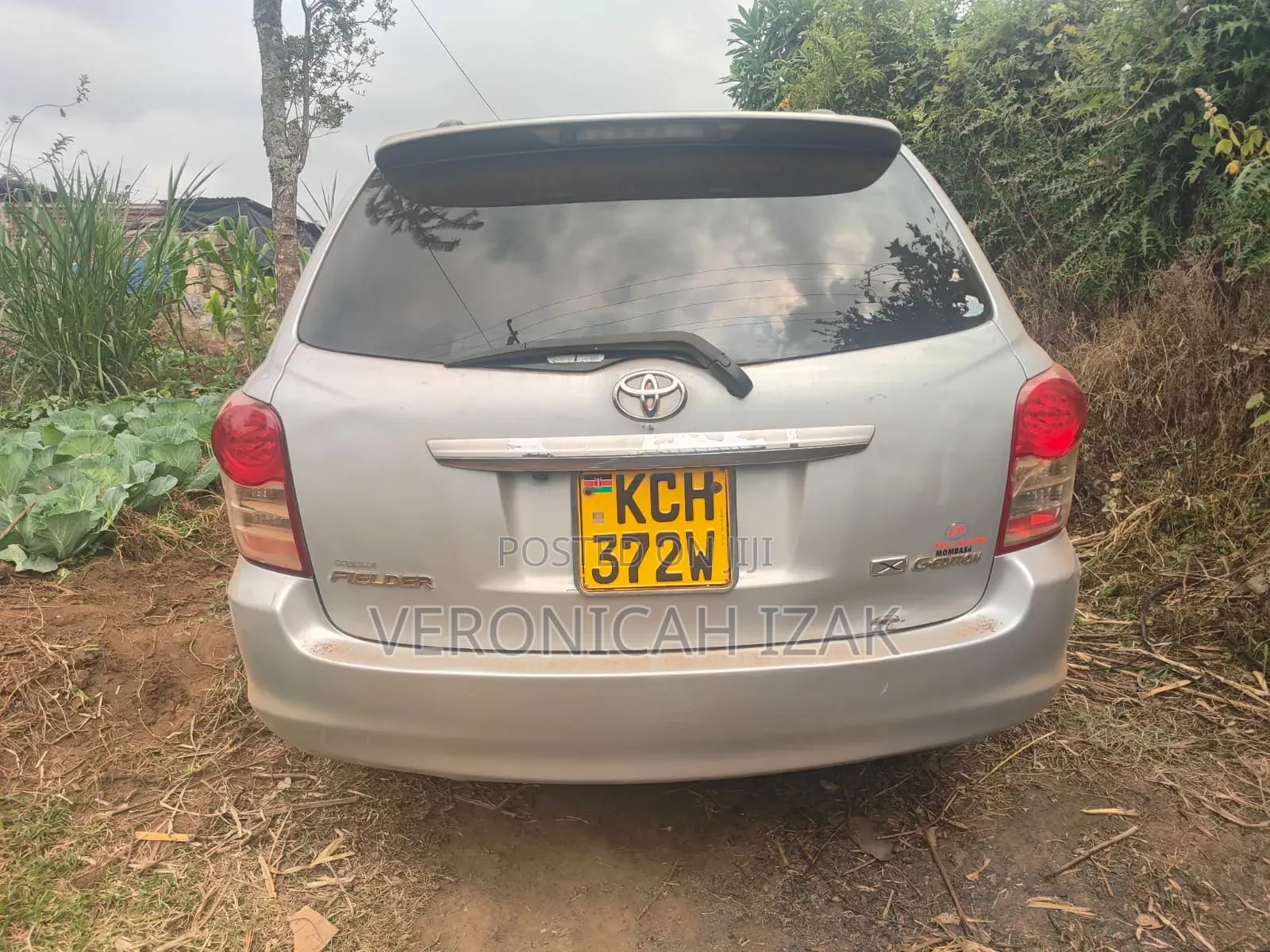 Toyota Corolla Fielder 2010 Silver