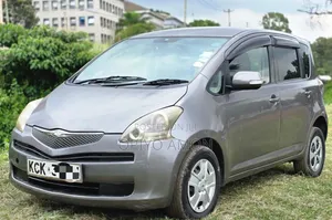 Toyota Ractis 2010 Gray