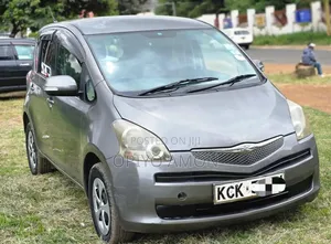 Toyota Ractis 2010 Gray
