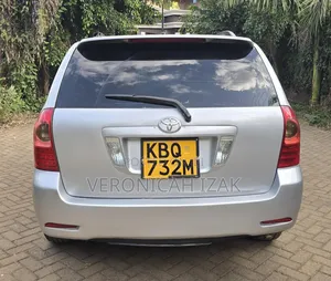 Toyota Corolla Fielder 2005 Silver