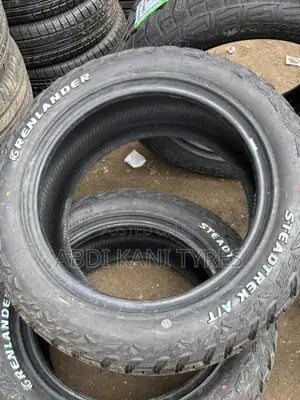 265/55r19 Grenlander Tires