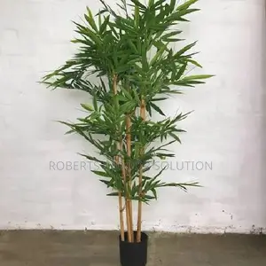 Outdoor Ambience Bamboo Plant