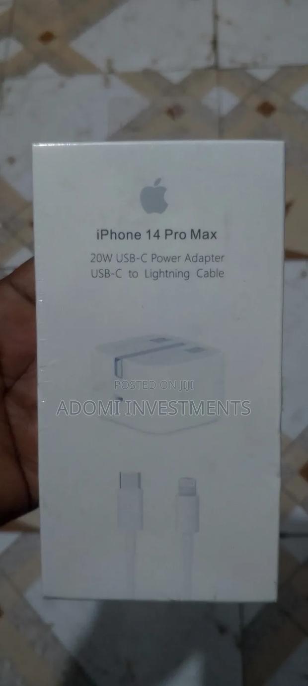 iPhone Charger