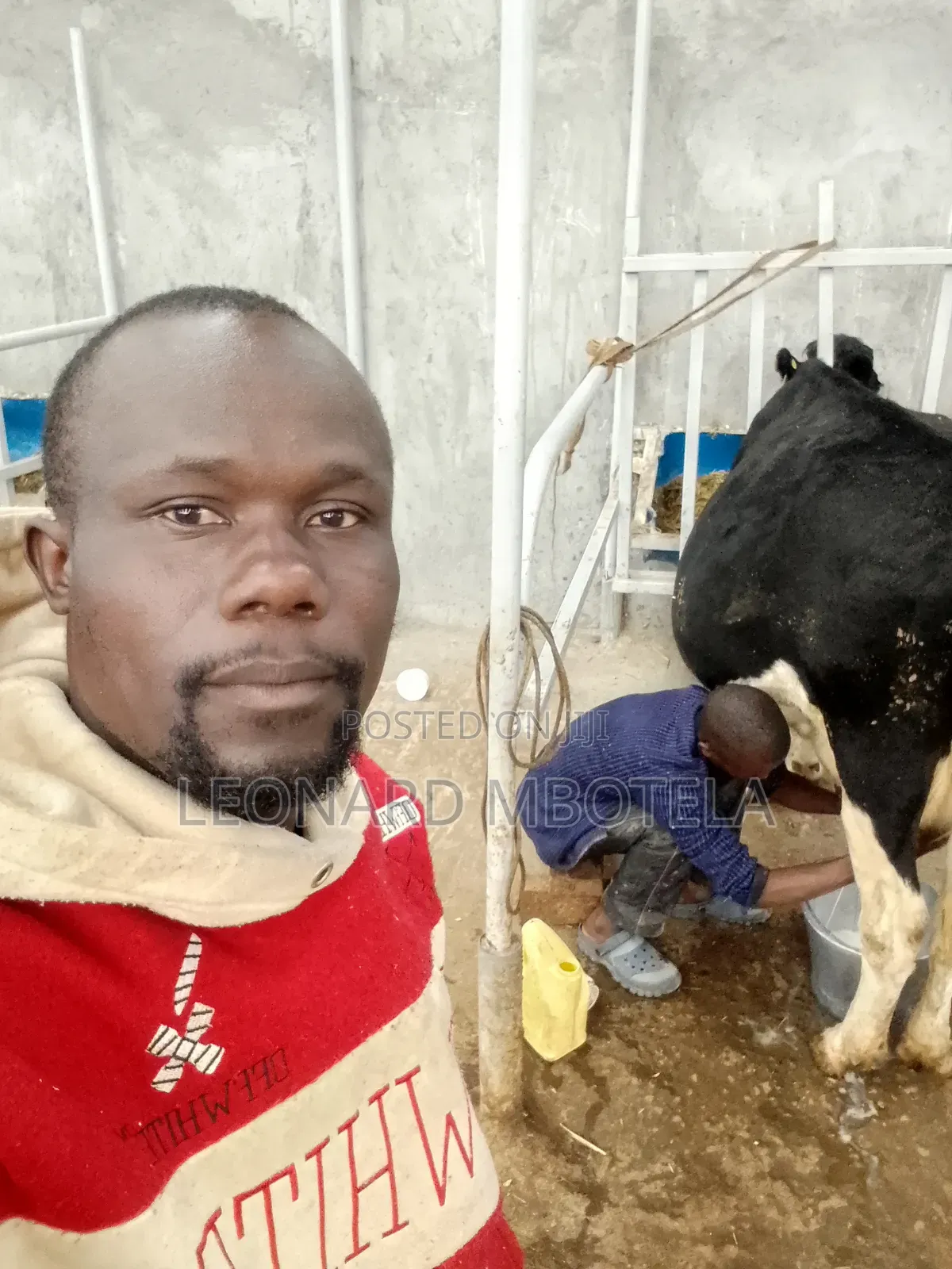 Animal Management