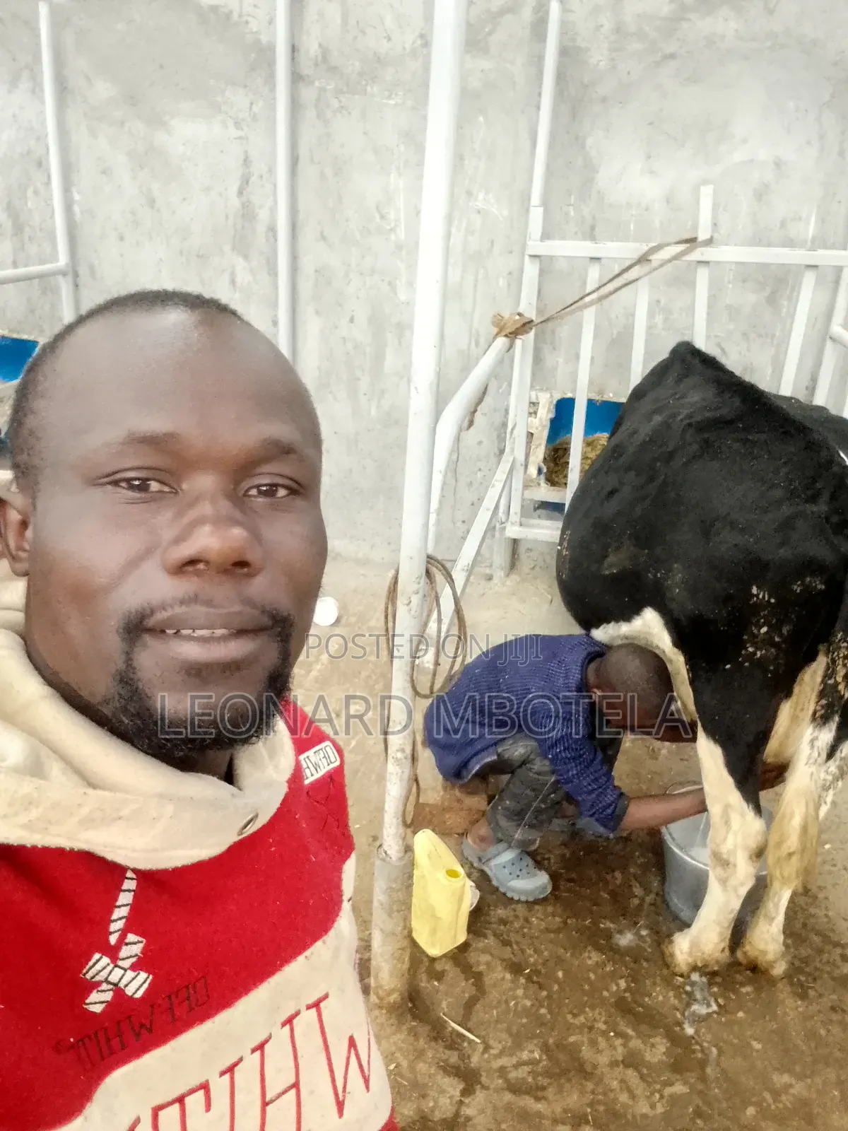 Animal Management