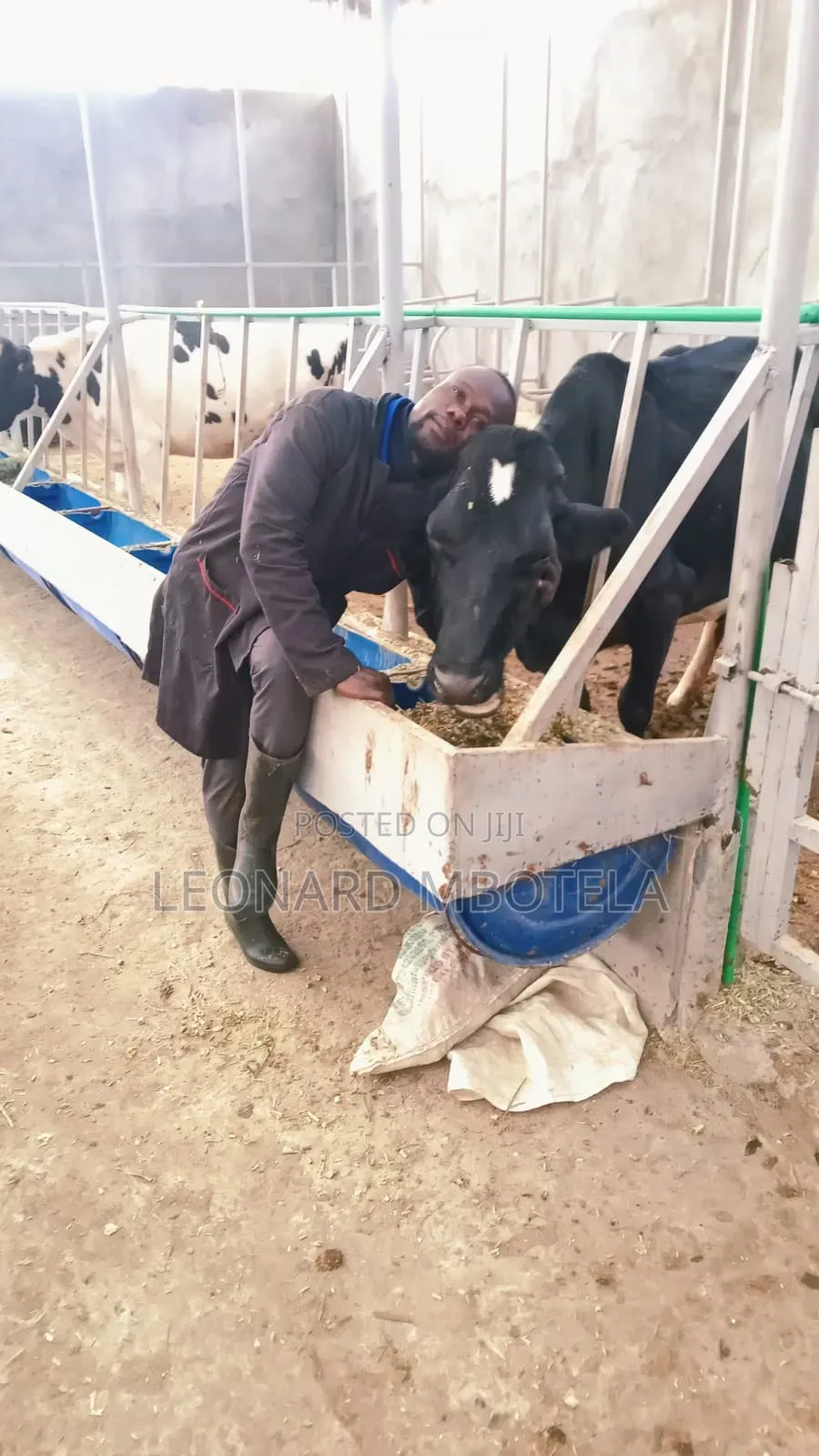 Animal Management