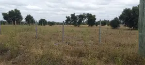 Kajiado - 700 Acres on Sale Near Umma University