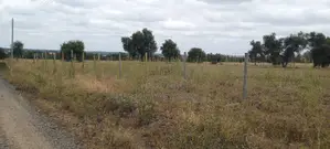 Kajiado - 700 Acres on Sale Near Umma University