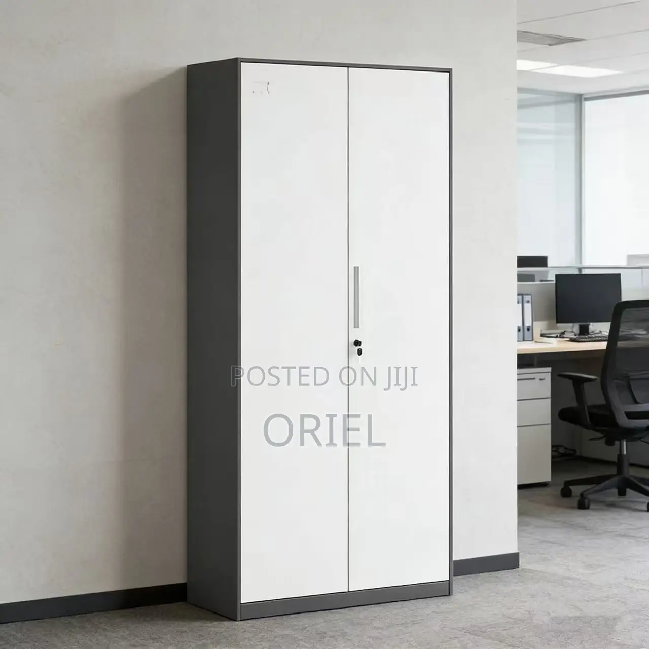 Office Cabinet : 2 Door Modern Steel Storage Cabinet