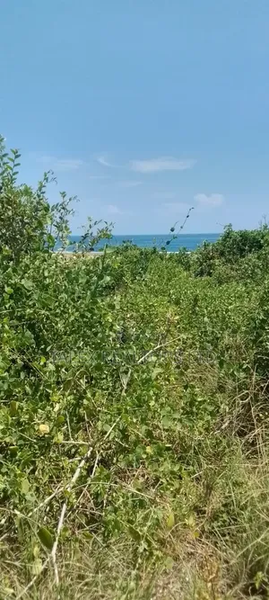 25-Acre Beachfront Estate in Diani/Tiwi | Prime Resort Opportunity
