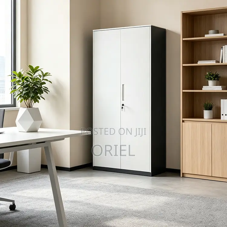 Office Cabinet : 2 Door Modern Steel Storage Cabinet