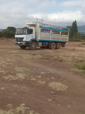 Mercedes Axor Double Diff