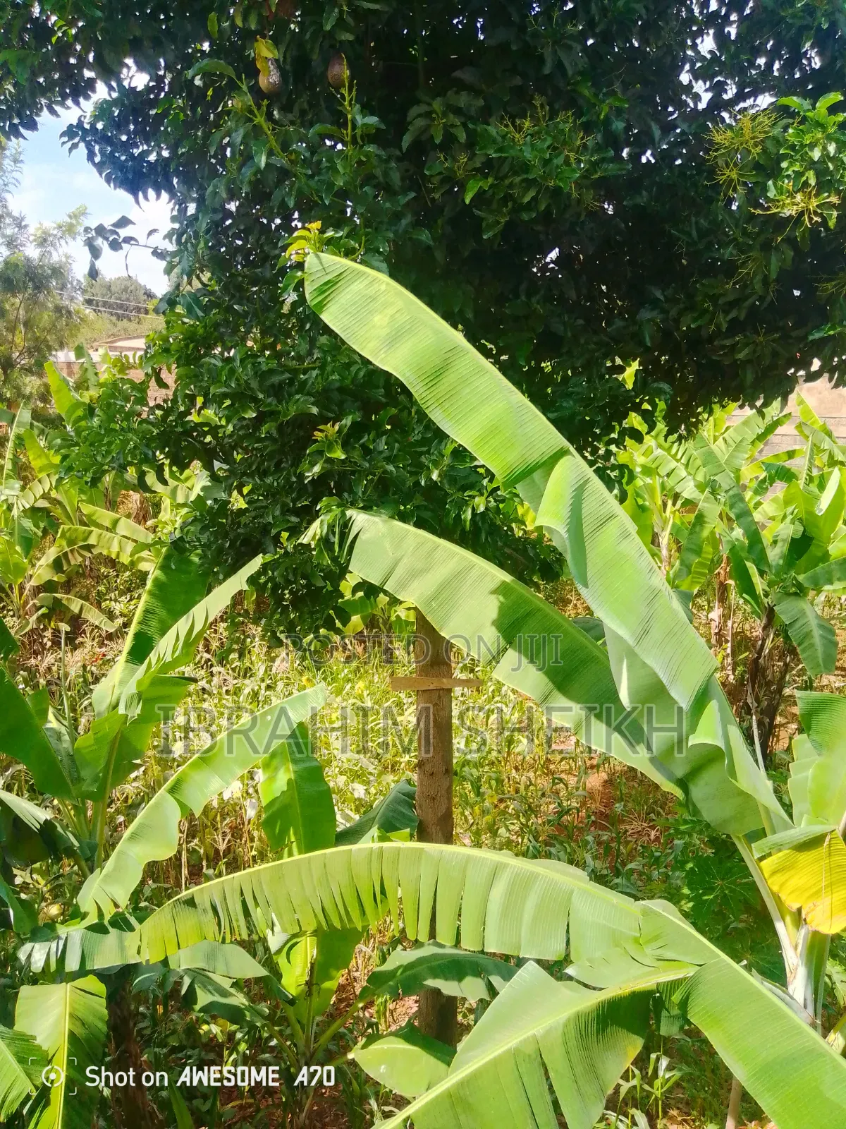 4 Acres at Chuka Technical College