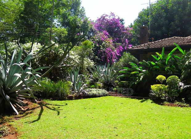 Plot for Sale in Lavington - Chalbi Drive - thumbnail 4