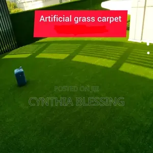 Artificial Grass Carpet