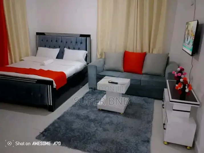 Fully Furnished Studio Apartments in Ruaka Town Decimo
