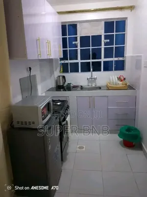 Fully Furnished Studio Apartments in Ruaka Town Decimo