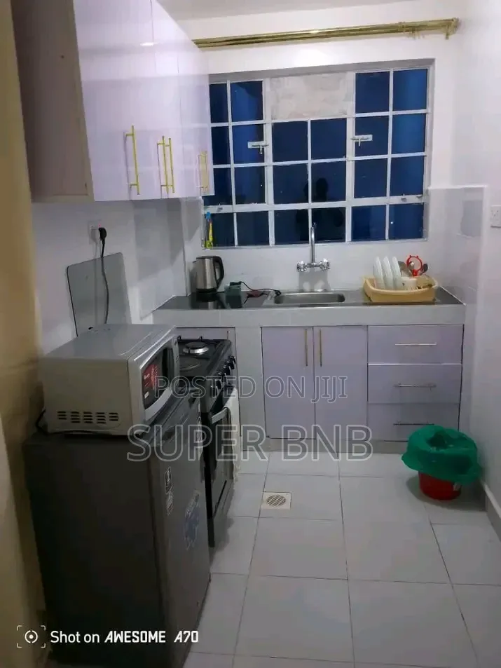 Fully Furnished Studio Apartments in Ruaka Town Decimo
