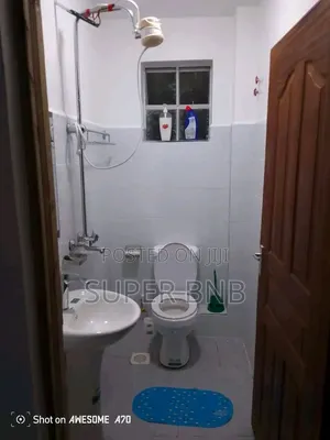 Fully Furnished Studio Apartments in Ruaka Town Decimo